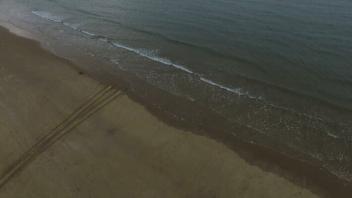 나무 선 모래 파도 바다 여행 백그라운드 자연 휴가 휴식 한국 손바닥 사람없음 야외 건물 초록색 물 파란색 여행객 평화 침묵 흰색 고도 타이어 트랙 태평양 항공촬영 드론 비어있는 4K MOV 해외동영상 클립영상 자연요소 식물 건축물 손 아시아 뷰포인트 컬러 컨셉 사람 소리 생태계 동영상 파일형식