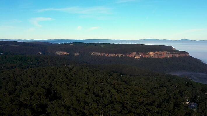 나무 구름 계절 여행 자연 날씨 산 안테나 풍경 사람없음 야외 초록색 파란색 여행객 환경 계곡 추위 안개 흰색 호주 숲 땅 머리위 동영상 흐림 드론 내려보기 4K MP4 해외동영상 클립영상 자연요소 식물 컬러 통신 모션 사람 오세아니아 생태계 파일형식