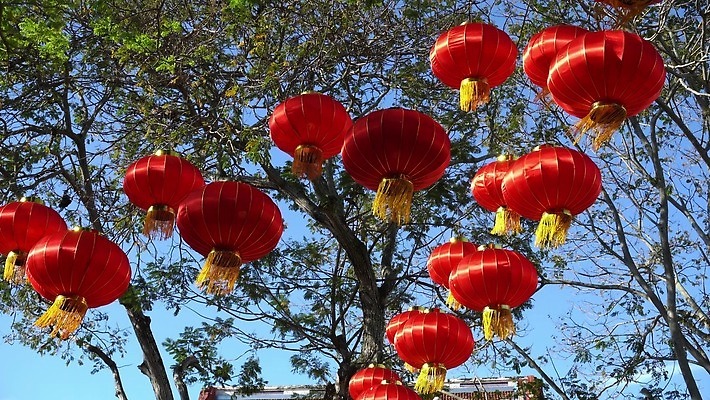 나무 전통 아시아 종교 문화 여행 백그라운드 자연 중국문화 매달리기 사람없음 야외 등불 축하 심볼 춘절 4K MOV 해외동영상 클립영상 식물 동양문화 명절 나라 외국문화 컨셉 모션 조명 생태계 중국전통 동영상 파일형식