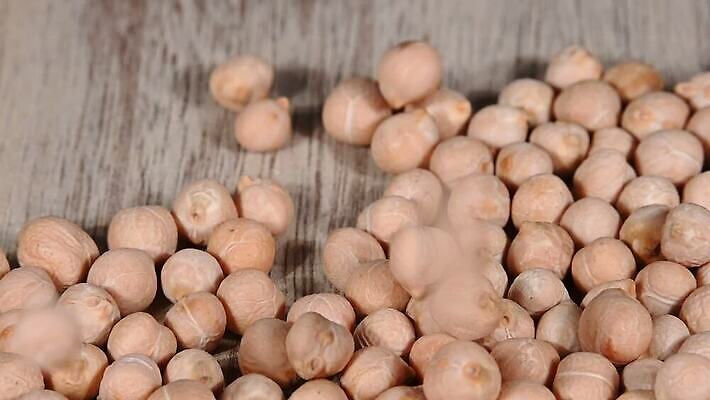 음식 백그라운드 재료 모션 탁자 표면 콩 건조 건강 요리 사람없음 목재 주방 가을 붓기 닫기 자르기 시리얼 먹기 롤 쏟아짐 느림 흙더미 내추럴 그런지 병아리콩 튕기기 많음 MOV 해외동영상 클립영상 나무 계절 가구 컨셉 곡류 흙 동영상 파일형식 더미