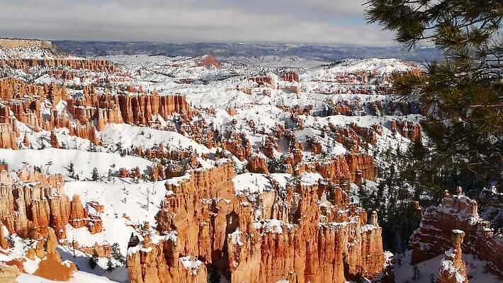 나무 겨울 자연 산 파노라마 국립공원 풍경 사람없음 빨간색 갈색 미국 트래킹 하이킹 소나무 황무지 선탠 환경보전 부식 점토 지역 안심 사암 진홍색 포인트 애리조나 전나무 원형극장 특별함 화성 4K MP4 해외동영상 클립영상 식물 계절 공원 컬러 컨셉 북아메리카 레저 촬영기법 금융 행성 돌 바위 극장 사회이슈 생태계 동영상 파일형식