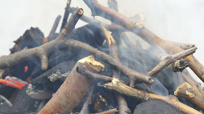 손 디자인 음식 컬러 백그라운드 자연 불 휴가 불꽃 노동자 따뜻함 요리 안전 사람 사람없음 야외 빨간색 세로 여름 문 힘 장비 신선 바퀴 뜨거움 닫기 그릴 보호 위험 바비큐 철 묘사 부식 벽난로 보안 날카로움 고립 깨짐 옛날 재 철강 4K MOV 해외동영상 클립영상 자연요소 직업 계절 컨셉 모션 주방용품 신체부위 생태계 동영상 파일형식