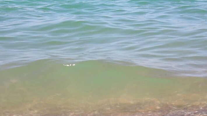 호수 물결 모래 파도 바다 여행 포즈 백그라운드 패턴 모션 자연 하늘 날씨 추상 풍경 사람없음 야외 초록색 물 파란색 뷰티 어둠 힘 액체 서핑 떨어짐 시원함 충돌 당구 질감 하와이 태평양 분무기 내추럴 잔물결 MOV 해외동영상 클립영상 자연요소 컬러 컨셉 무늬 구기 미국 수상스포츠 생태계 동영상 파일형식