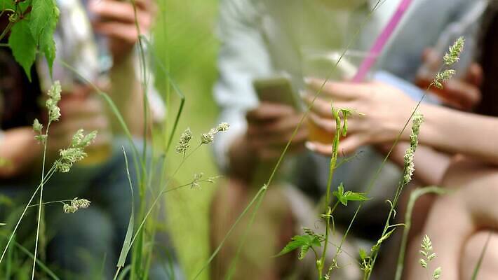 백인 라이프스타일 행복 백그라운드 자연 육류 요리 미소 사람 야외 세명 여름 친구 파티 정원 식사 시골 그룹 그릴 바비큐 굽기 주말 점심식사 4K MOV 해외동영상 클립영상 서양인 계절 감정 음식 식재료 관계 주방용품 표정 이벤트 생활 구이 생태계 동영상 파일형식