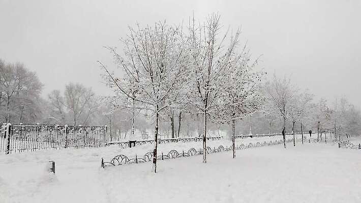 나무 계절 공원 도로 길 조각 여행 겨울 자연 하늘 날씨 파노라마 사람 사람없음 야외 빛 울타리 걷기 환경 냉동 얼음 침묵 추위 흰색 눈송이 시원함 버드나무 서리 장면 북쪽 내추럴 미루나무 우크라이나 눈내림 4K MOV 해외동영상 클립영상 자연요소 식물 공공시설 유럽 컬러 교통시설 모션 눈_날씨 촬영기법 담장 소리 방향 생태계 동영상 파일형식