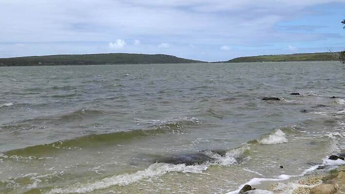 나무 식물 구름 호수 여행 자연 하늘 휴가 파노라마 풍경 사람없음 야외 물 관광지 환경 호주 생태계 내추럴 4K MP4 해외동영상 클립영상 자연요소 촬영기법 오세아니아 동영상 파일형식