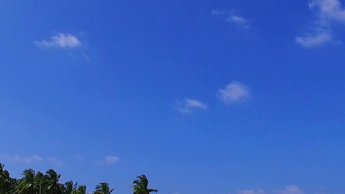 주간 라이프스타일 모래 백그라운드 휴가 따뜻함 손바닥 사람없음 일몰 흰색 만 원정 파라다이스 MP4 해외동영상 클립영상 자연요소 손 컬러 생활 노을 동영상 파일형식