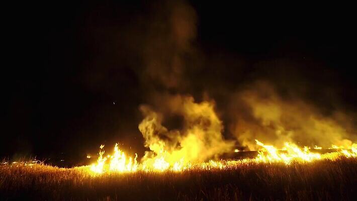 나무 실루엣 백그라운드 자연 불 불꽃 산 건조 사람없음 목재 빨간색 여름 환경 검은색 손상 시골 긴급 뜨거움 오염 변화 구출 닫기 연기 야간 숲 위험 언덕 장면 지역 생태학 재앙 점화 화상 카피스페이스 4K MP4 해외동영상 클립영상 자연요소 식물 계절 교육 컬러 컨셉 재료 모션 촬영기법 공백 도움 상처 생태계 동영상 파일형식