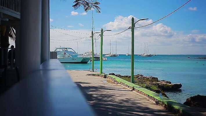 나무 식물 공원 꽃 모래 바다 섬 여행 백그라운드 잎 건축양식 자연 하늘 호텔 휴가 휴식 거리 주택 손바닥 사람없음 야외 건물 초록색 물 파란색 컬러풀 뷰티 정원 흰색 도시 휴양지 타운 내추럴 공화국 도미니카공화국 옛날 이국적 4K MP4 해외동영상 클립영상 자연요소 건축물 손 공공시설 건축 나라 컬러 컨셉 숙소 장소 남아메리카 생태계 동영상 파일형식