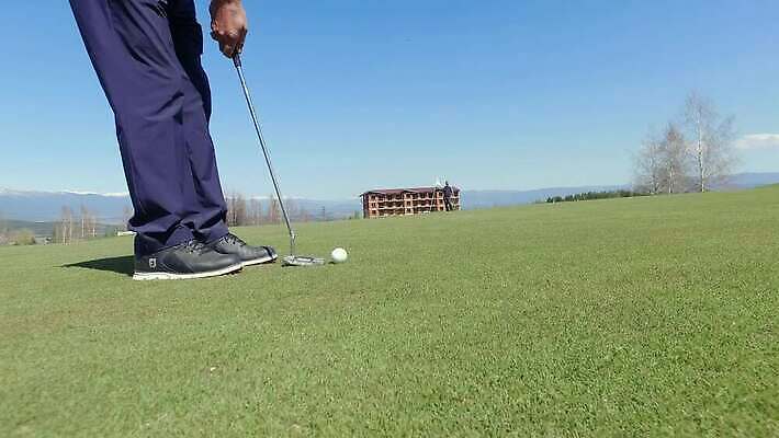 직업 라이프스타일 스포츠 포즈 밭 골프 공 놀이 휴식 골프공 잔디 취미 사람없음 야외 컵 초록색 운동 경쟁 운전 도전 게임 구멍 운전사 발전 골퍼 목표 강의 연습 그네 클럽 슛 점수 기어 골프티 때리기 역경 정복 페어웨이 플레이어 4K MP4 해외동영상 클립영상 식물 식기 컬러 컨셉 농업 모션 운동선수 골프용품 건강 생활 구기 동영상 파일형식
