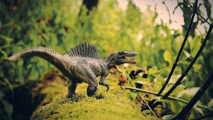 동물 모델 공원 실루엣 백그라운드 파충류 자연 생물 양서류 사람없음 초록색 장난감 역사 치아 위험 큼 무서움 공룡 박물관 도마뱀 육식동물 고생물 육식 멸종 애니메이션 선사시대 원시시대 거인 기간 넘어짐 몬스터 힘찬 MOV 해외동영상 클립영상 공공시설 감정 컬러 컨셉 모션 촬영기법 소화기관 크기 생태계 동영상 파일형식