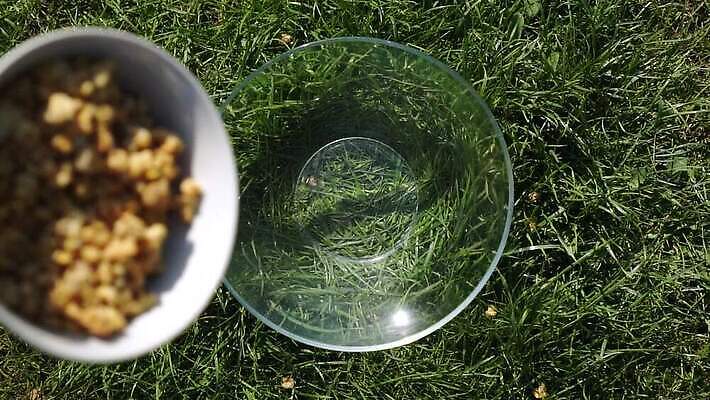 손 음식 백그라운드 건강 요리 잔디 사람없음 초록색 소풍 숟가락 맑음 식사 우유 견과류 시골 신선 조끼 투명 사발 붓기 떨어짐 아침식사 낟알 시리얼 먹기 유기농 날것 쏟아짐 섬유 내추럴 뮤즐리 오트밀 채식주의자 핸드메이드 개암 비건 그래놀라 MP4 해외동영상 슬로모션 클립영상 식물 웰빙 열매 컬러 컨셉 모션 날씨 유제품 촬영기법 수저 신체부위 야외활동 외투 직물 사기그릇 채식 동영상 파일형식 귀리