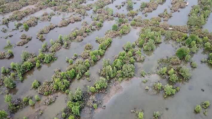 식물 아시아 지구 호수 음료 야생동물 컬러 섬 컨셉 자연 하늘 낚시 휴가 동양인 사람없음 초록색 물 강 환경 중국 젖음 연못 황무지 보호 습지 물새 철새 땅바닥 변소 생태학 4K MOV 해외동영상 클립영상 자연요소 동물 교육 나라 조류 레저 바닥 인종 생태계 동영상 파일형식