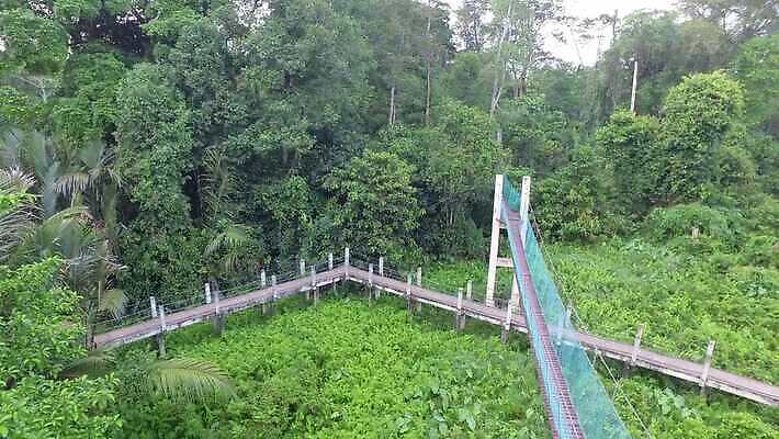 나무 아시아 밧줄 스포츠 여행 포즈 자연 휴가 동양인 사람없음 봄 산책 트래킹 덮개 자신감 숲 작음 오르기 탐사 평형 4K MOV 해외동영상 클립영상 식물 계절 감정 나라 줄 모션 레저 휴식 인종 수영 뚜껑 크기 생태계 동영상 파일형식