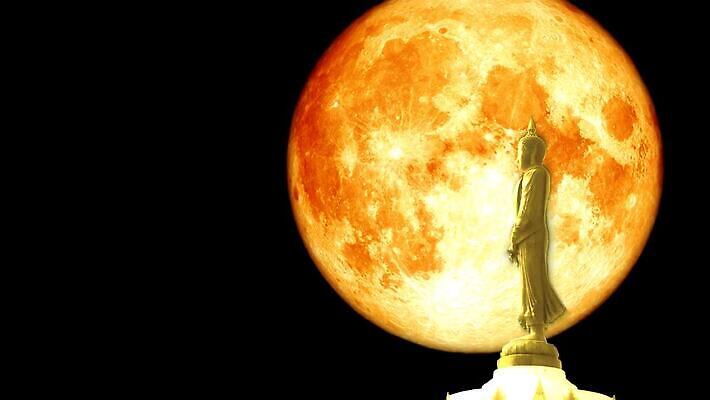 구름 응시 과학 백그라운드 밭 자연 유리 하늘 손바닥 옥수수 서기 사람없음 빨간색 파란색 빛 반사 우주 어둠 침묵 황혼 새벽 할로윈 수확 껍질 달 혈액 야간 저녁 숲 달빛 기아 가득함 점성술 사냥꾼 까마귀 7 비버 4K MOV 해외동영상 클립영상 자연요소 직업 손 시선 컬러 농업 모션 재질 조류 곡류 숫자 소리 일몰 사회이슈 생태계 동영상 파일형식