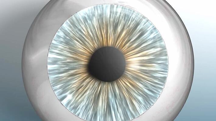 응시 공 해부 사람 사람없음 뷰티 눈동자 묘사 시력 비전 붓꽃 애니메이션 정맥 시력검사 광학 검안사 MOV 해외동영상 클립영상 직업 시선 꽃 의학 눈_신체부위 검사_조사 혈관 동영상 파일형식 안경사