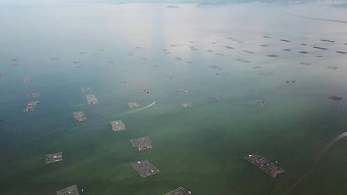 산업 음식 바다 비즈니스 자연 하늘 낚시 어류 사람없음 파란색 농장 환경 잡기 만 해산물 새장 어장 밭일 수경재배 4K MOV 해외동영상 클립영상 컬러 농업 모션 레저 수중동물 생태계 동영상 케이지 파일형식