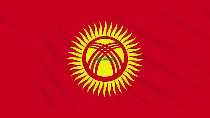 과학 백그라운드 건강 사람없음 치료 초록색 약 자유 깃발 고리 바이러스 질병 디지털합성 예방 생물학 감염 미생물 애니메이션 우표 박테리아 그런지 돌리기 백신 부정적 전염병 증상 치유 항생제 사스 키르기스스탄 코로나바이러스 4K MOV 해외동영상 클립영상 교육 감정 컬러 컨셉 의학 모션 생물 동영상 중앙아시아 파일형식