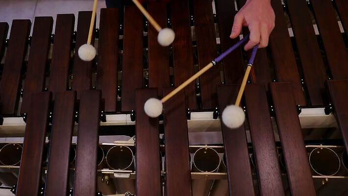 전통 교육 악기 음악 백그라운드 놀이 열쇠 타악기 미술 한명 목재 갈색 소리 콘서트 공연 연주자 음악가 장비 기구 키보드 악단 바 막대기 클래식 망치 오브젝트 오디오 재즈 오케스트라 교향곡 리듬 멜로디 뮤지컬 4K MP4 해외동영상 클립영상 나무 직업 1 컬러 컨셉 재료 문화예술 사람 이벤트 전자제품 공구 동영상 파일형식