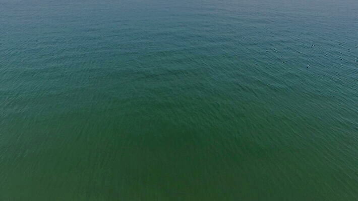 아시아 물결 파도 바다 컬러 여행 백그라운드 자연 조류 표면 휴가 전등 한국 안테나 사람없음 물 파란색 반사 흰색 구출 정상 고도 검색 질감 태평양 항공촬영 드론 4K 깜빡이다 MOV 해외동영상 클립영상 자연요소 동물 나라 뷰포인트 통신 조명 도움 생태계 동영상 파일형식