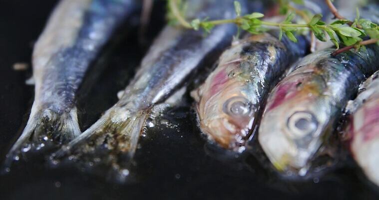 음식 재료 불 낚시 파슬리 건강 마늘 어류 요리 한명 야외 파란색 소풍 식사 저녁식사 신선 뜨거움 연기 그릴 빨다 바비큐 굽기 레몬 허브 해산물 숯 건강식 점심식사 쇠창살 절임 청어 맛있는 4K MP4 해외동영상 클립영상 자연요소 식물 1 컬러 채소 과일 모션 주방용품 레저 사람 야외활동 수중동물 구이 동영상 파일형식