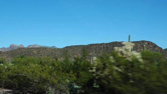 식물 공원 선 여행 자연 산 선인장 건조 사람없음 파란색 미국 사막 성장 오르간 보호 큼 파이프 먼지 애리조나 천연기념물 전국 유일 4K MP4 해외동영상 클립영상 공공시설 컬러 컨셉 북아메리카 건반악기 크기 생태계 동영상 파일형식