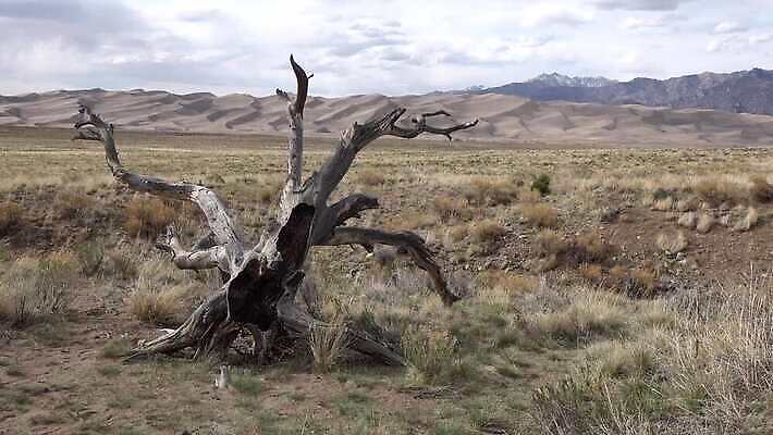 공원 모래 여행 백그라운드 패턴 밭 자연 하늘 휴가 산 풍경 사람없음 야외 여행객 미국 일몰 사막 큼 모래언덕 언덕 천연기념물 내추럴 전국 콜로라도 4K MP4 해외동영상 클립영상 공공시설 북아메리카 무늬 농업 사람 노을 크기 생태계 동영상 파일형식
