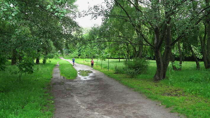 나무 백인 라이프스타일 커플 공원 여자 행복 유럽 스포츠 분홍색 2 발 자연 함께함 한명 사람 성인 야외 파란색 친구 운동복 달리기 조깅 운동 우정 도시 연습 내추럴 달리기선수 타이즈 혼혈 4K MOV 해외동영상 클립영상 서양인 식물 1 옷 공공시설 감정 나라 컬러 컨셉 관계 모션 건강 생활 신체부위 생태계 다문화 육상선수 동영상 파일형식