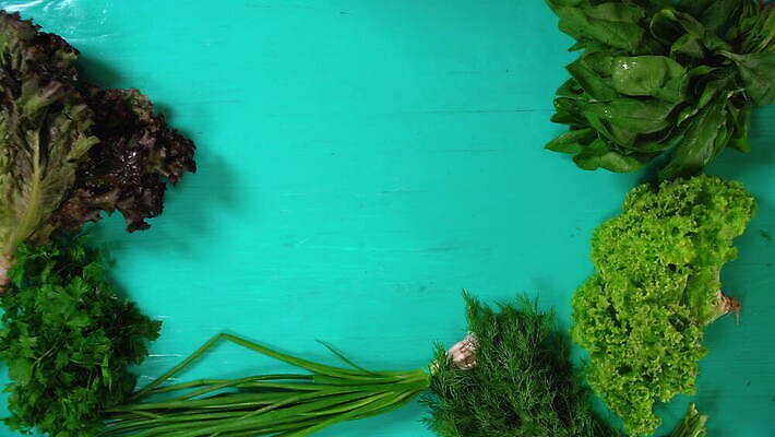 식물 남자 음식 장갑 잎 다이어트 채소 탁자 양파 서브 도마 파슬리 건강 관리 요리 사람없음 초록색 정원 요리사 식사 샐러드 흰색 칼 상추 자르기 허브 준비 빙산 건강식 채식주의자 터키석 회향 그리너리 비건 4K MOV 해외동영상 클립영상 직업 잡화 컬러 가구 모션 주방용품 사람 보석 채식 동영상 파일형식 트랜드컬러