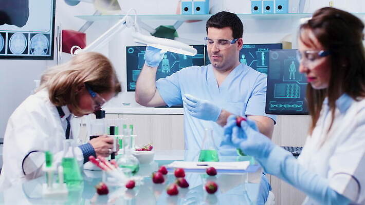 식물 직업 응시 산업 과학 딸기 노동자 건강 병원 현미경 실험 안전 사람 약 장비 의사 코트 작업 실험실 생명공학 연구원 과학자 유기농 생물학 공학 조제 내추럴 개발 유전 유전자변형 4K MOV 해외동영상 클립영상 웰빙 시선 교육 과일 의학 실험기구 외투 의료진 만들기 동영상 학자 파일형식