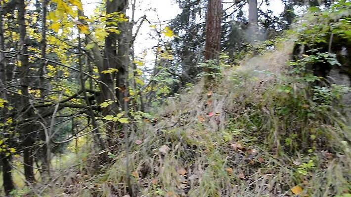 유럽 건축양식 사람없음 건물 가을 벙커 성 방어 역사 보호 숲 위험 공격 위치 콘크리트 파멸 MP4 해외동영상 클립영상 건축물 계절 건축 나라 컨셉 모션 골프장 어류 동영상 파일형식 소멸