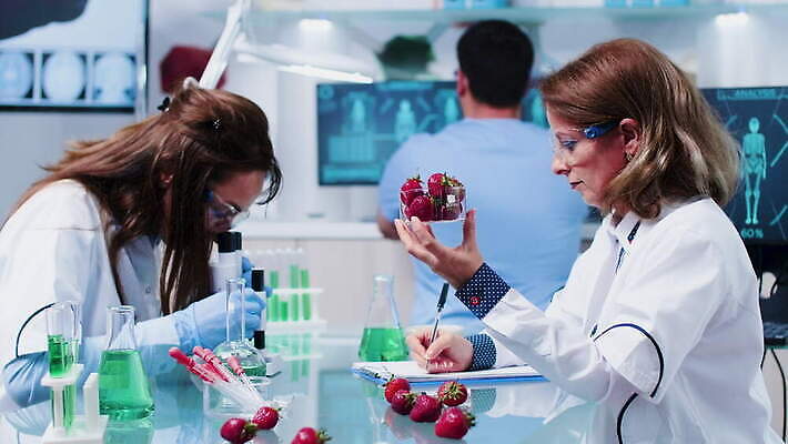 식물 직업 응시 산업 과학 딸기 노동자 건강 병원 현미경 실험 안전 사람 약 장비 의사 코트 작업 실험실 생명공학 연구원 과학자 유기농 생물학 공학 조제 내추럴 개발 유전 유전자변형 4K MOV 해외동영상 클립영상 웰빙 시선 교육 과일 의학 실험기구 외투 의료진 만들기 동영상 학자 파일형식