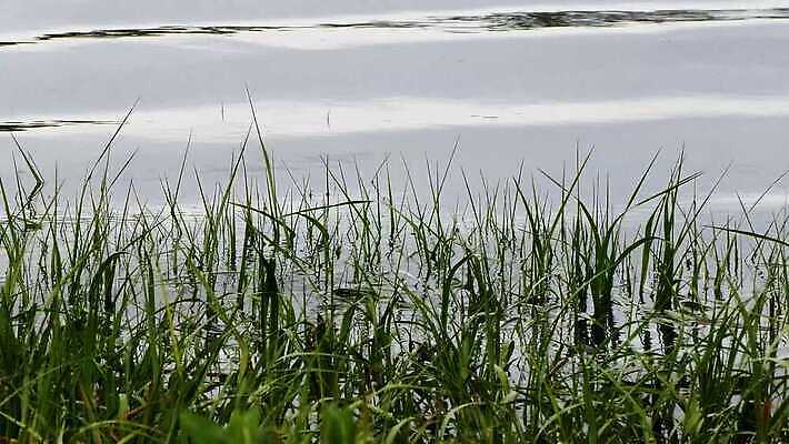 백그라운드 자연 사람없음 물 액체 닫기 질감 자연백그라운드 4K MP4 해외동영상 클립영상 자연요소 모션 생태계 동영상 파일형식