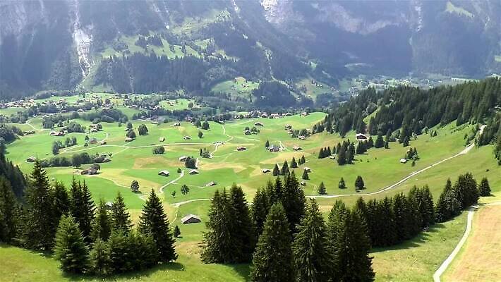 나무 밭 자연 산 주택 사람없음 초록색 평화 마을 계곡 침묵 시골 소나무 곤돌라 스위스 그림 알프스 오르막 베른 MP4 해외동영상 클립영상 식물 유럽 컬러 컨셉 농업 건물 소리 생태계 동영상 파일형식