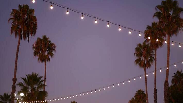 나무 라이프스타일 디자인 바다 섬 여행 백그라운드 컨셉 잎 크리스마스 하늘 휴가 전등 새해 거리 매달리기 사람없음 장식 여름 빛 야자수 파티 축제 미국 화환 일몰 수확 축하 도시 야간 저녁 소프트포커스 질감 보케 캘리포니아 부드러움 코코넛 빛망울 스타일 4K 오션사이드 MP4 해외동영상 클립영상 자연요소 식물 계절 기념일 꽃 북아메리카 농업 과일 모션 조명 촬영기법 이벤트 생활 노을 감각 동영상 파일형식