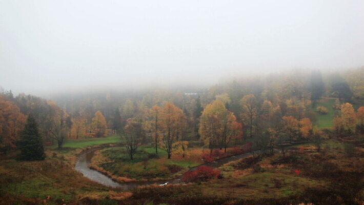 나무 식물 계절 공원 잎 자연 아침 날씨 사람없음 야외 초록색 강 환경 어둠 새벽 안개 흰색 소나무 황무지 숲 신비 속도 내추럴 뿌연 삼림지대 에스토니아 타임랩스 MOV 해외동영상 클립영상 주간 자연요소 공공시설 유럽 컬러 컨셉 촬영기법 생태계 동영상 파일형식