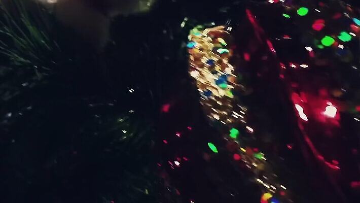 나무 외관 유럽 여행 크리스마스 건축양식 창문 교통시설 호텔 휴가 거리 사람없음 건물 장식 쇼핑 여행객 상점 식당 도시 역사 고급 도심 벨기에 타운 대도시 일반 구시가지 랜드마크 부티크 브뤼셀 유럽연합 전국 MOV 해외동영상 클립영상 식물 건축물 기념일 건축 나라 교통 컨셉 숙소 사람 시설 동영상 서유럽 파일형식