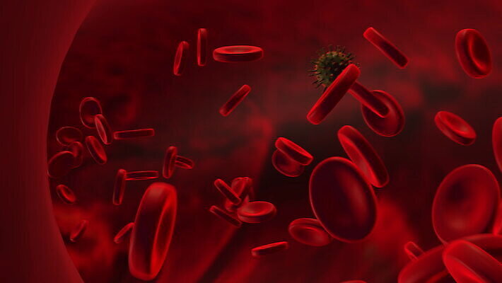 과학 백그라운드 신체 해부 자연 생물 세포 건강 병원 사람 사람없음 빨간색 약 3D 흐름 의사 개울 혈액 바이러스 질병 DNA 시원함 생물학 미생물 염색체 애니메이션 암 동맥 정맥 전염병 코로나바이러스 4K MOV 해외동영상 클립영상 교육 컬러 컨셉 의학 강 의료진 생명공학 디지털합성 생태계 혈관 동영상 파일형식