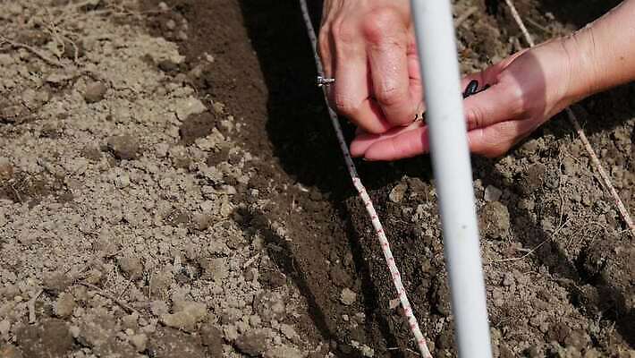 식물 손 계절 여자 밭 농업 채소 자연 씨앗 야외 정원 흙 봄 성장 업무 원예 먼지 내추럴 거름 땅바닥 모종 밭일 생태학 심기 파종 세련 4K MP4 해외동영상 클립영상 교육 산업 모션 바닥 사람 취미 신체부위 농사 작업 생태계 동영상 파일형식