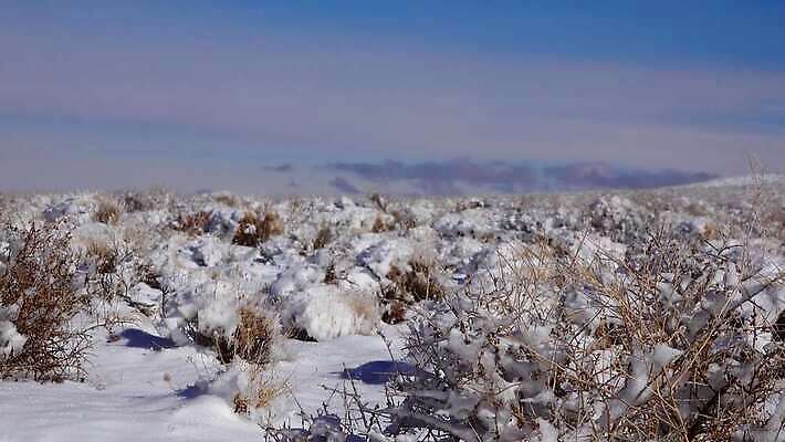 구름 공원 모래 여행 겨울 자국 자연 하늘 휴가 산 건조 파노라마 풍경 사람없음 야외 파란색 계곡 맑음 미국 트래킹 하이킹 사막 흰색 황무지 숲 언덕 캘리포니아 통과 내추럴 요세미티국립공원 전국 절정 4K MP4 해외동영상 클립영상 자연요소 계절 공공시설 컬러 북아메리카 레저 날씨 촬영기법 국립공원 생태계 동영상 파일형식