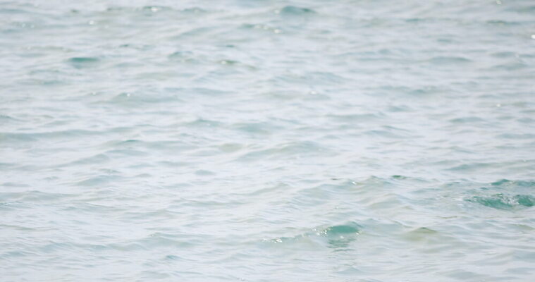 파도 바다 휴가 영국 한명 야외 젖음 서핑보드 서핑 잠수복 패닝샷 서식스 4K MOV 해외동영상 클립영상 1 옷 유럽 촬영기법 사람 수상스포츠 보드_스포츠 동영상 파일형식