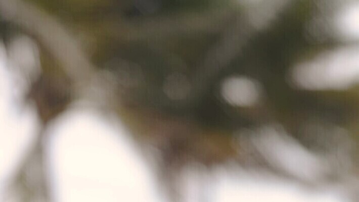 나무 구름 모래 바다 섬 여행 백그라운드 태국 자연 하늘 휴가 휴식 열대 멕시코 손바닥 풍경 사람없음 초록색 물 여름 파란색 야자수 태양 뷰티 뜨거움 고급 휴양지 하와이 발리 코코넛 쿠바 몰디브 공화국 바하마 이국적 칸쿤 파라다이스 HD MP4 해외동영상 클립영상 자연요소 식물 손 계절 나라 아시아 컬러 컨셉 북아메리카 과일 미국 장소 중앙아메리카 생태계 인도네시아 동영상 파일형식