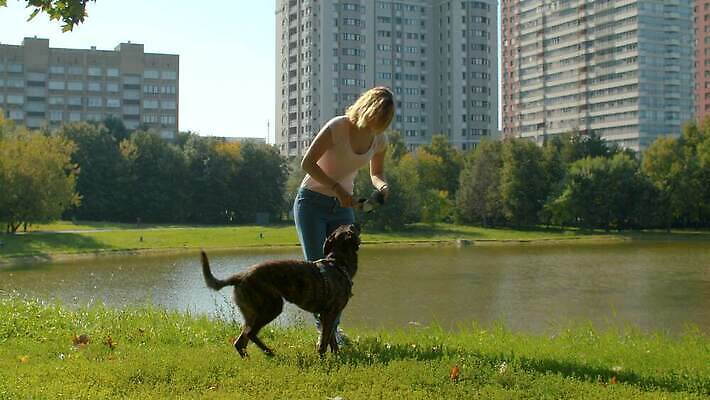 동물 공원 여자 행복 호수 자연 놀이 휴식 함께함 사랑 한명 사람 야외 초록색 친구 반려동물 귀여움 개 만족 주인 송곳니 내추럴 돌봄 무료 복종 충실 4K MOV 해외동영상 슬로모션 클립영상 1 공공시설 감정 컬러 컨셉 포유류 관계 모션 촬영기법 치아 생태계 동영상 파일형식