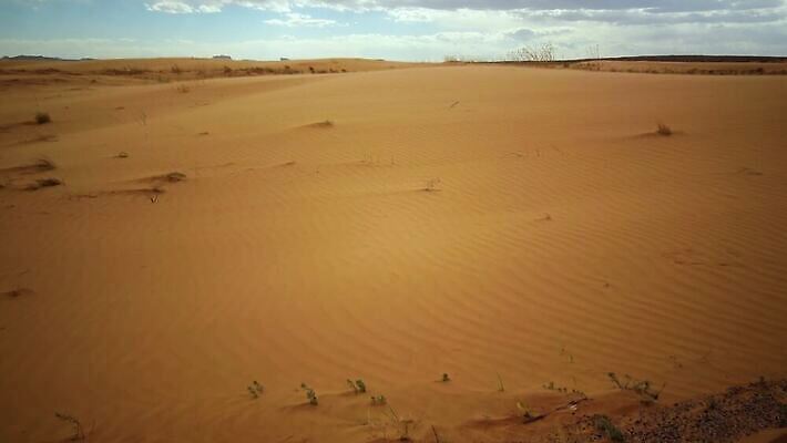 모래 여행 오렌지 자연 하늘 바람 건조 풍경 사람없음 여름 노란색 사막 뜨거움 황무지 모래언덕 폭풍 사하라 내추럴 수평선 4K MP4 해외동영상 클립영상 자연요소 계절 컬러 과일 아프리카 날씨 언덕 생태계 동영상 파일형식