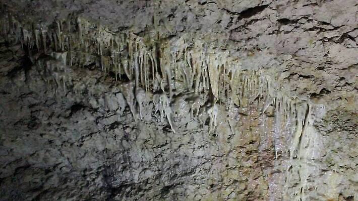 모자 응시 공원 지구 벽 여행 자연 바람 휴가 산 실내 그림자 미소 사람 성인 사람없음 여행객 걷기 탐험 바위 손전등 시간 구멍 역사 동굴 지하 내추럴 석회암 옛날 종유석 지질 지질학 MOV 해외동영상 클립영상 자연요소 시선 잡화 공공시설 교육 모션 날씨 조명 표정 내부 암석 돌_바위 생태계 동영상 파일형식