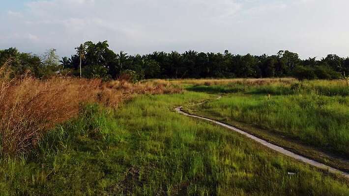 도로 여행 밭 농업 자연 파노라마 풍경 잔디 초원 사람없음 야외 여름 햇빛 농장 농경지 맑음 자유 시골 땅 먼지 내추럴 방법 4K MOV 해외동영상 클립영상 식물 계절 산업 길 컨셉 교통시설 날씨 촬영기법 태양 생태계 동영상 파일형식