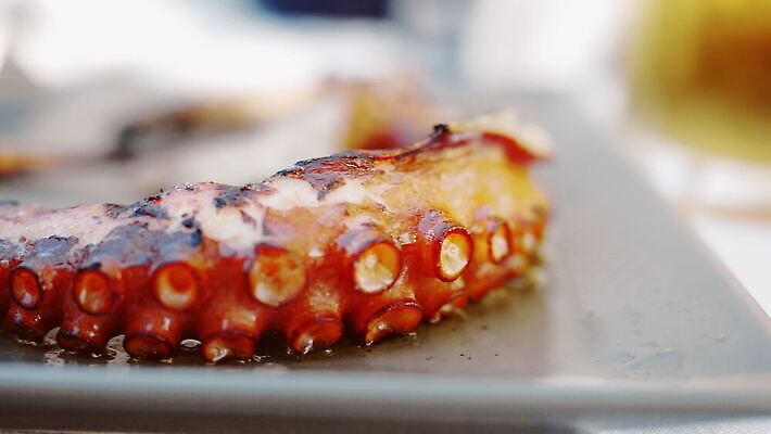 접시 음식 요리 사람없음 식당 식사 저녁식사 카페 그릴 지중해 먹기 해산물 문어 촉수 메인요리 앙트레 맛있는 4K MOV 해외동영상 클립영상 식기 바다 모션 주방용품 연체동물 상점 수중동물 동영상 파일형식