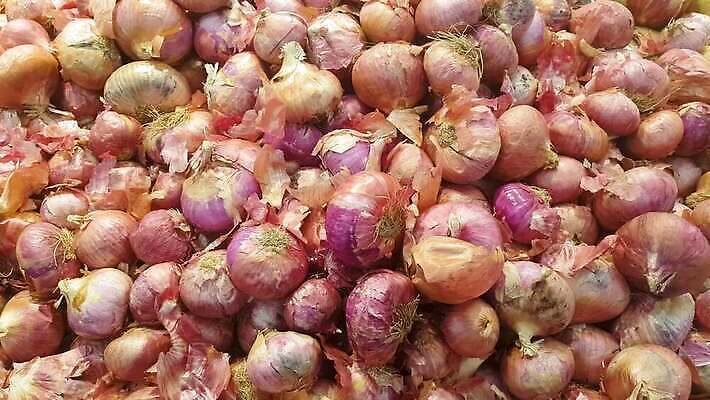 손 잡화 음식 농업 과일 양파 선반 건강 사람 사람없음 빨간색 농장 노란색 세일 쌓기 바구니 상점 어둠 수확 신선 잡기 시장 닫기 선택 구매 농부 상품 먹기 고객 무역 유기농 지역 소매 슈퍼마켓 숙성 식료품점 정리함 채식주의자 많음 맛있는 4K MP4 해외동영상 클립영상 직업 웰빙 산업 컬러 가구 컨셉 채소 모션 신체부위 쇼핑 채식 동영상 파일형식