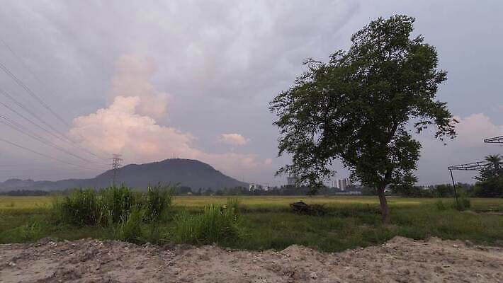 식물 구름 계절 길 컬러 백그라운드 밭 농업 자연 하늘 날씨 풍경 초원 사람없음 초록색 여름 파란색 햇빛 태양 농장 농경지 노란색 맑음 봄 흰색 시골 땅 밀 내추럴 땅바닥 숙성 수평선 4K 타임랩스 MP4 해외동영상 클립영상 자연요소 산업 곡류 바닥 촬영기법 생태계 동영상 파일형식