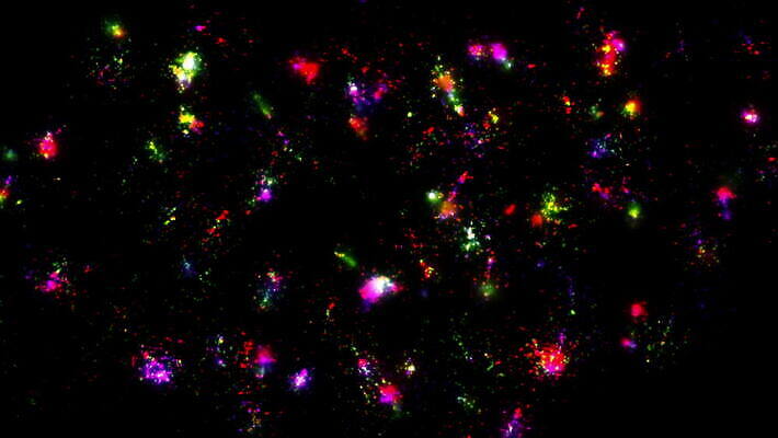 기념일 행복 별 컬러 백그라운드 크리스마스 하늘 불 추상 휴가 불꽃 새로움 새해 기념 폭죽 불꽃놀이 이벤트 사람없음 빛 컬러풀 파티 축제 로켓 축하 생일 야간 폭발 연도 쇼 7월 광 크리스마스이브 효과 4K MOV 해외동영상 클립영상 자연요소 감정 컨셉 무늬 놀이 날짜 동영상 파일형식